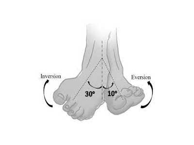 Toe inversion and eversion